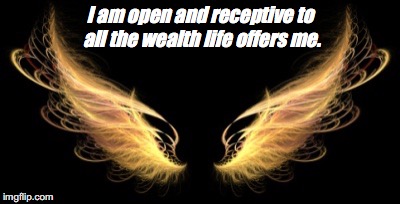 Wings | I am open and receptive to all the wealth life offers me. | image tagged in wings | made w/ Imgflip meme maker