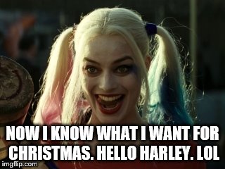 She will do | NOW I KNOW WHAT I WANT FOR CHRISTMAS. HELLO HARLEY. LOL | image tagged in me on weekends,harley quinn,christmas | made w/ Imgflip meme maker