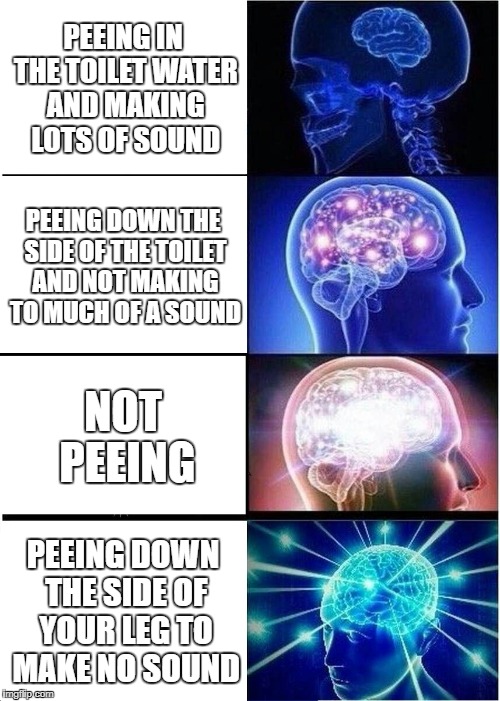 peeing | PEEING IN THE TOILET WATER AND MAKING LOTS OF SOUND; PEEING DOWN THE SIDE OF THE TOILET AND NOT MAKING TO MUCH OF A SOUND; NOT PEEING; PEEING DOWN THE SIDE OF YOUR LEG TO MAKE NO SOUND | image tagged in memes,expanding brain | made w/ Imgflip meme maker