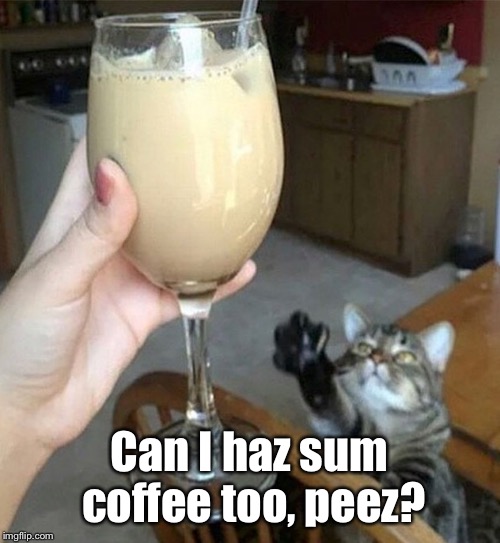 The Cat's At The Right Place, At The Right Time... | Can I haz sum coffee too, peez? | image tagged in memes,cats,too funny | made w/ Imgflip meme maker
