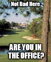 Chateau Elan | Not Bad Here; ARE YOU IN THE OFFICE? | image tagged in golf | made w/ Imgflip meme maker