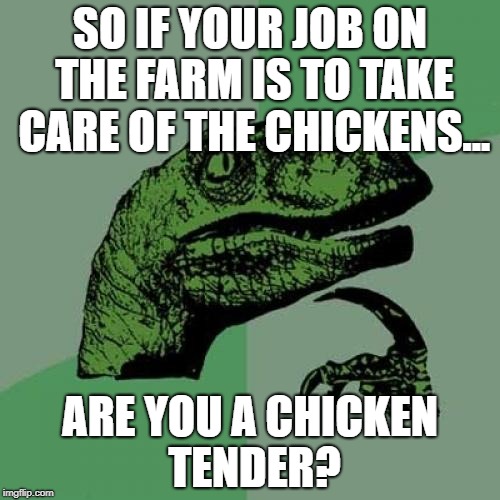 Do you want them tenders grilled or fried? | SO IF YOUR JOB ON THE FARM IS TO TAKE CARE OF THE CHICKENS... ARE YOU A CHICKEN TENDER? | image tagged in memes,philosoraptor,chicken | made w/ Imgflip meme maker