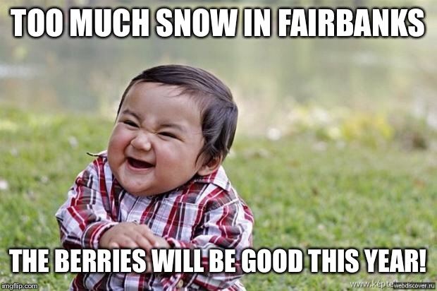 happy asian kid | TOO MUCH SNOW IN FAIRBANKS; THE BERRIES WILL BE GOOD THIS YEAR! | image tagged in happy asian kid | made w/ Imgflip meme maker
