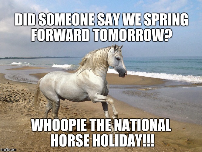 white horse beach | DID SOMEONE SAY WE SPRING FORWARD TOMORROW? WHOOPIE THE NATIONAL HORSE HOLIDAY!!! | image tagged in white horse beach | made w/ Imgflip meme maker