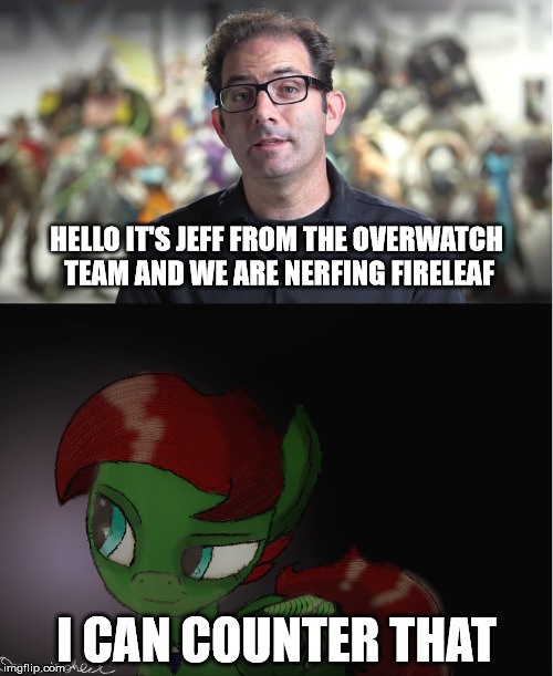 HELLO IT'S JEFF FROM THE OVERWATCH TEAM AND WE ARE NERFING FIRELEAF; I CAN COUNTER THAT | made w/ Imgflip meme maker