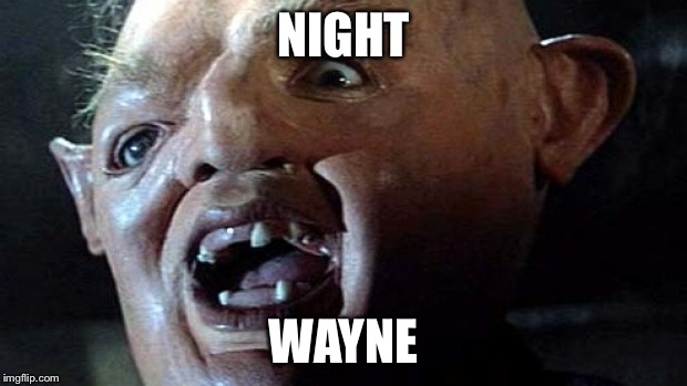 Sloth Goonies Hey You Guys | NIGHT; WAYNE | image tagged in sloth goonies hey you guys | made w/ Imgflip meme maker