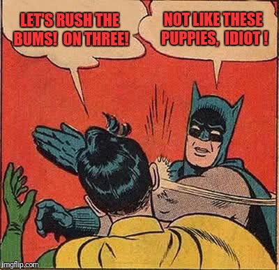 Batman Slapping Robin Meme | LET'S RUSH THE BUMS!  ON THREE! NOT LIKE THESE PUPPIES,  IDIOT ! | image tagged in memes,batman slapping robin | made w/ Imgflip meme maker