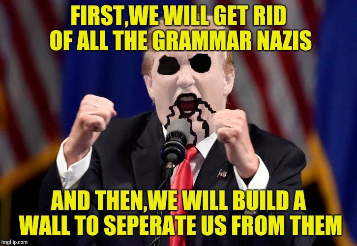 Black Metal Donald Trump |  FIRST,WE WILL GET RID OF ALL THE GRAMMAR NAZIS; AND THEN,WE WILL BUILD A WALL TO SEPERATE US FROM THEM | image tagged in black metal donald trump | made w/ Imgflip meme maker