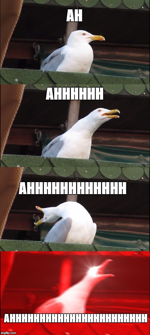 ahhhhhh | AH; AHHHHHH; AHHHHHHHHHHHH; AHHHHHHHHHHHHHHHHHHHHHHH | image tagged in memes,inhaling seagull,ahhhhh,funny,scream,seagulls | made w/ Imgflip meme maker