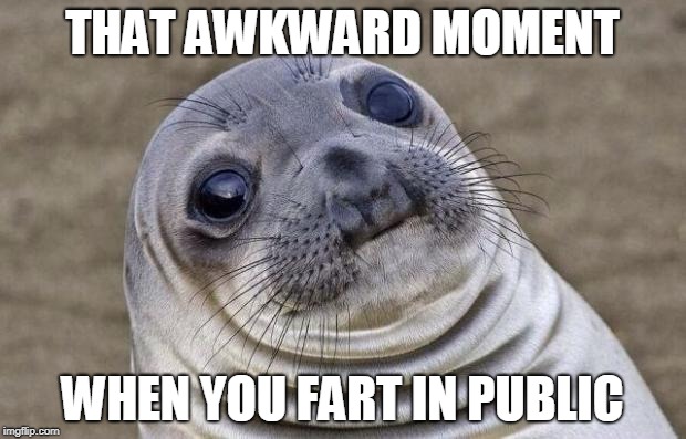 Awkward Moment Sealion | THAT AWKWARD MOMENT; WHEN YOU FART IN PUBLIC | image tagged in memes,awkward moment sealion | made w/ Imgflip meme maker