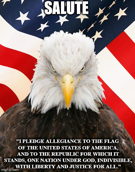 SALUTE; "I PLEDGE ALLEGIANCE TO THE FLAG OF THE UNITED STATES OF AMERICA, AND TO THE REPUBLIC FOR WHICH IT STANDS, ONE NATION UNDER GOD, INDIVISIBLE, WITH LIBERTY AND JUSTICE FOR ALL." | image tagged in eagle | made w/ Imgflip meme maker