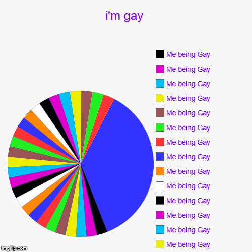 i'm gay | Me being Gay, Me being GayER, Me being Gay, Me being Gay, Me being Gay, Me being Gay, Me being Gay, Me being Gay, Me being Gay, Me | image tagged in funny,pie charts | made w/ Imgflip chart maker