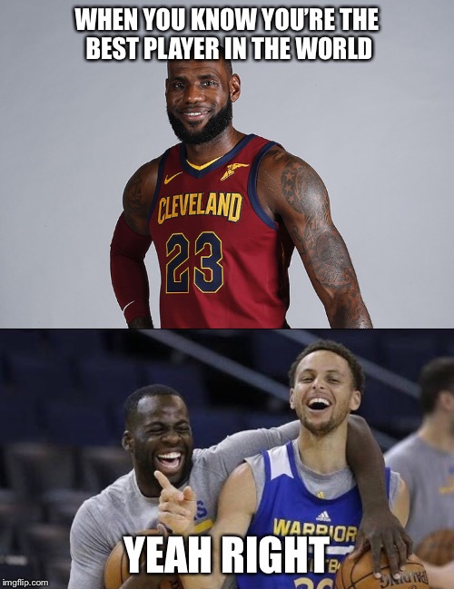 What the Warriors think... | WHEN YOU KNOW YOU’RE THE BEST PLAYER IN THE WORLD; YEAH RIGHT | image tagged in stephen curry | made w/ Imgflip meme maker