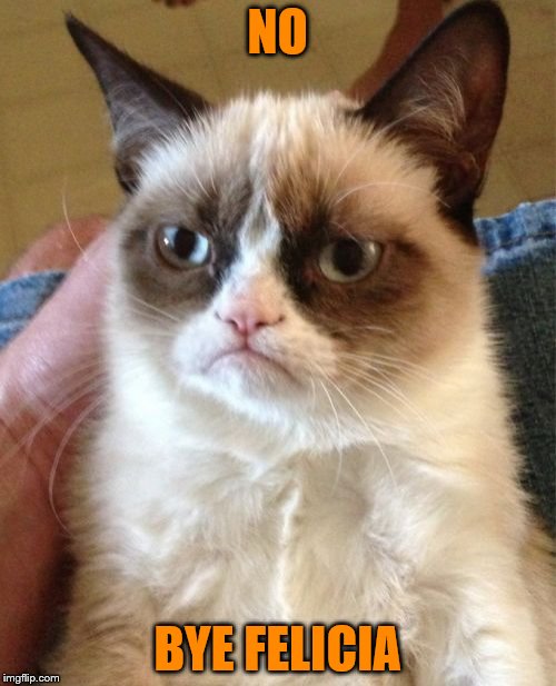 Grumpy Cat Meme | NO BYE FELICIA | image tagged in memes,grumpy cat | made w/ Imgflip meme maker