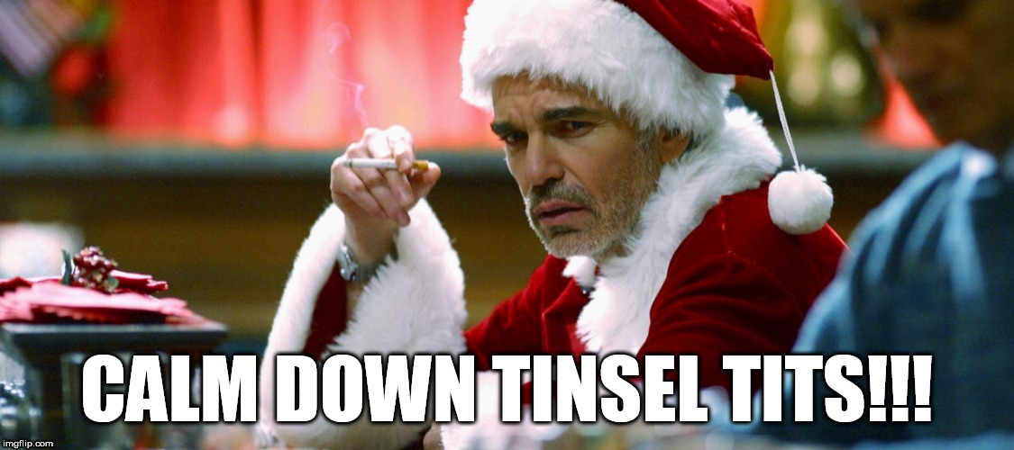 CALM DOWN TINSEL TITS!!! | image tagged in funny | made w/ Imgflip meme maker