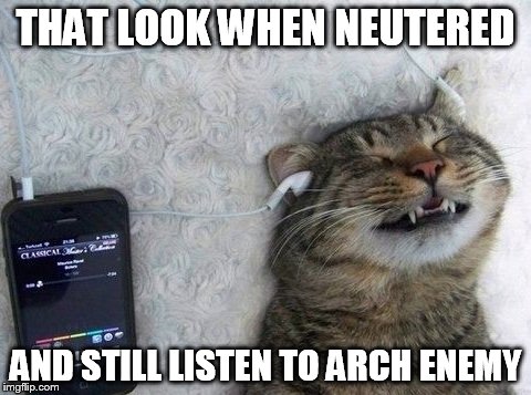 music cat | THAT LOOK WHEN NEUTERED; AND STILL LISTEN TO ARCH ENEMY | image tagged in music cat | made w/ Imgflip meme maker