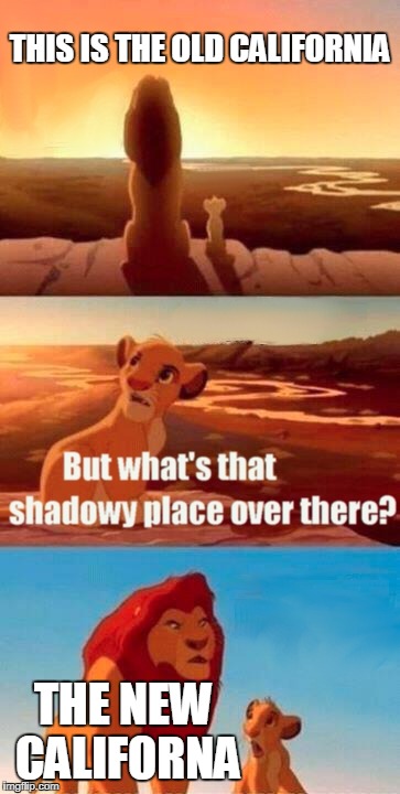 Simba Shadowy Place | THIS IS THE OLD CALIFORNIA; THE NEW CALIFORNA | image tagged in memes,simba shadowy place | made w/ Imgflip meme maker