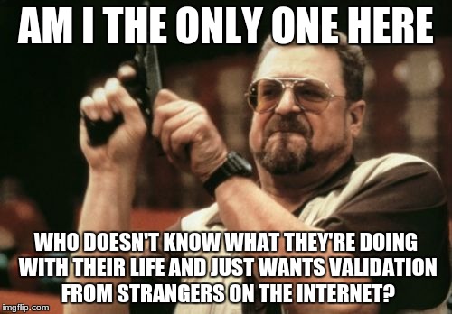 Am I The Only One Around Here Meme | AM I THE ONLY ONE HERE; WHO DOESN'T KNOW WHAT THEY'RE DOING WITH THEIR LIFE AND JUST WANTS VALIDATION FROM STRANGERS ON THE INTERNET? | image tagged in memes,am i the only one around here | made w/ Imgflip meme maker