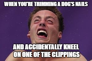 man in pain | WHEN YOU'RE TRIMMING A DOG'S NAILS; AND ACCIDENTALLY KNEEL ON ONE OF THE CLIPPINGS | image tagged in man in pain | made w/ Imgflip meme maker