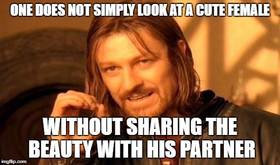 One Does Not Simply Meme | ONE DOES NOT SIMPLY LOOK AT A CUTE FEMALE; WITHOUT SHARING THE BEAUTY WITH HIS PARTNER | image tagged in memes,one does not simply | made w/ Imgflip meme maker