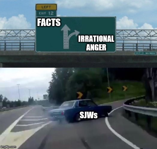 It's sad because it's true | IRRATIONAL ANGER; FACTS; SJWs | image tagged in memes,left exit 12 off ramp,sjws | made w/ Imgflip meme maker