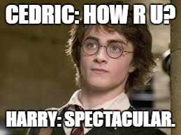 Sass | CEDRIC: HOW R U? HARRY: SPECTACULAR. | image tagged in harry potter | made w/ Imgflip meme maker