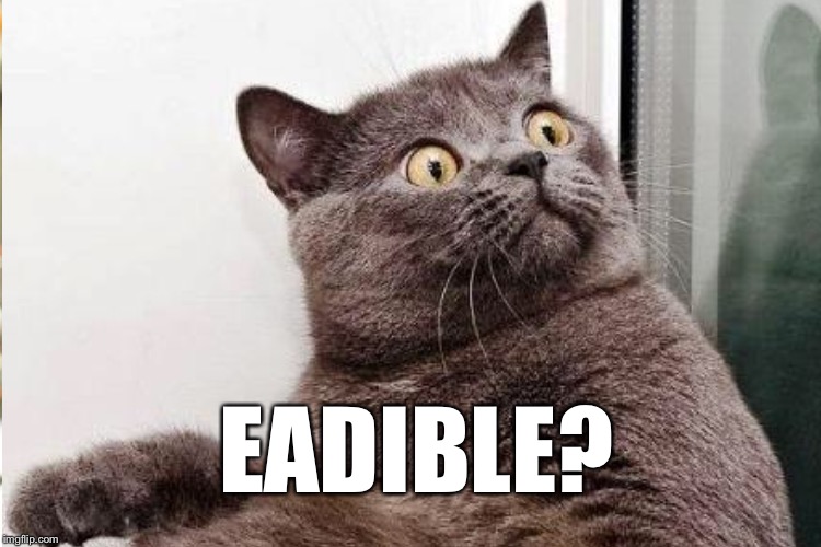 EADIBLE? | made w/ Imgflip meme maker