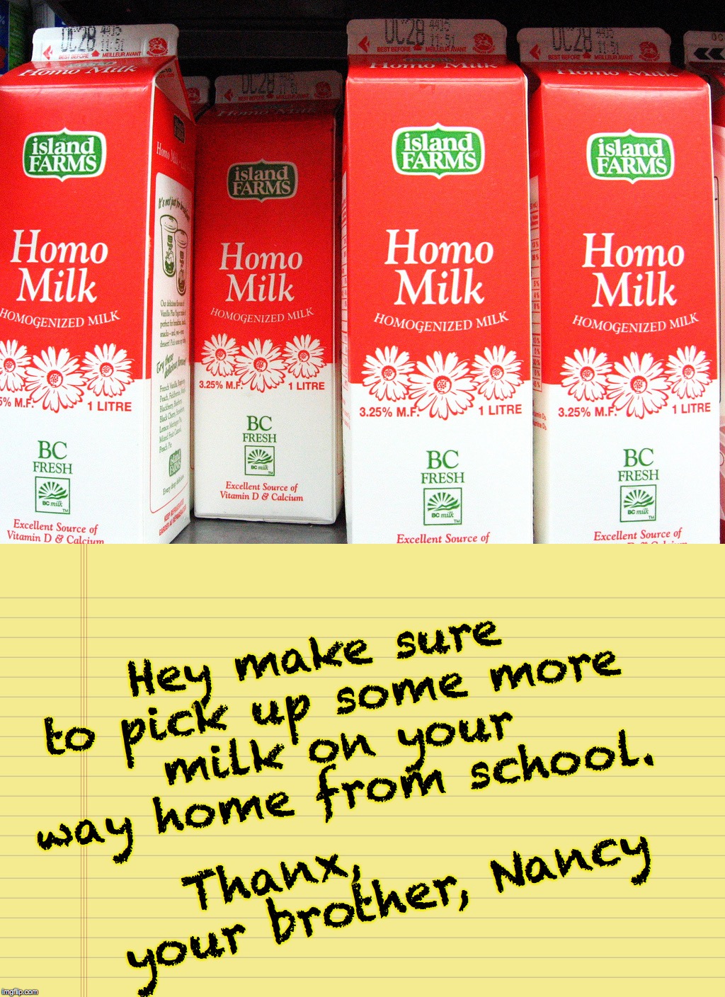 Thanx,         your brother, Nancy Hey make sure to pick up some more milk on your way home from school. | made w/ Imgflip meme maker