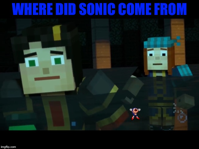 WHERE DID SONIC COME FROM | image tagged in minecraft story mode image 6 | made w/ Imgflip meme maker