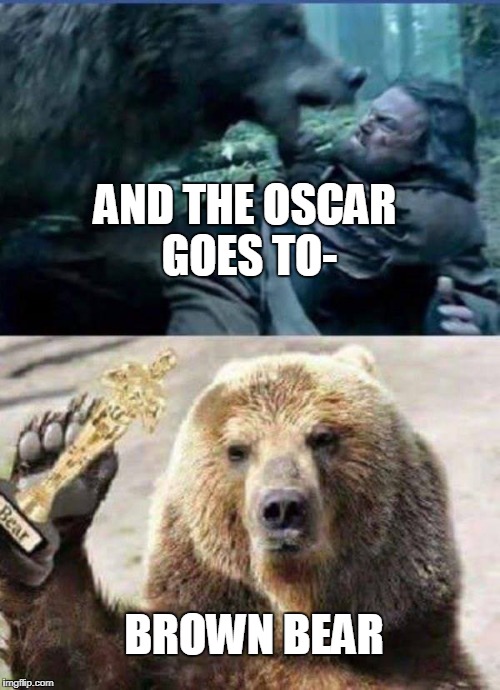 AND THE OSCAR GOES TO-; BROWN BEAR | image tagged in oscars,leonardo dicaprio,bear | made w/ Imgflip meme maker