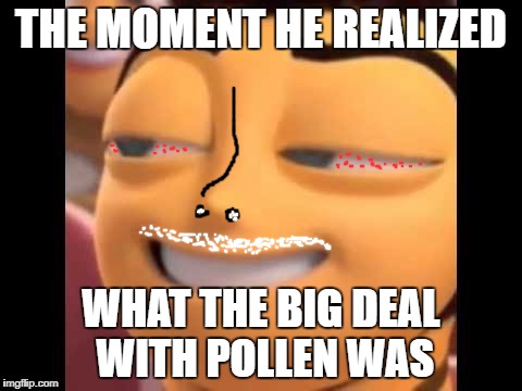 That bee | THE MOMENT HE REALIZED; WHAT THE BIG DEAL WITH POLLEN WAS | image tagged in hohoho | made w/ Imgflip meme maker
