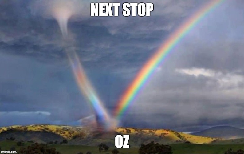 NEXT STOP; OZ | image tagged in next,stop,oz | made w/ Imgflip meme maker