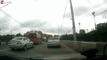 Doggy Style | image tagged in gifs,animals,cars | made w/ Imgflip video-to-gif maker