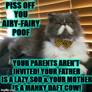 PISS OFF YOU AIRY-FAIRY POOF; YOUR PARENTS AREN'T INVITED! YOUR FATHER IS A LAZY SOD & YOUR MOTHER IS A MANKY DAFT COW! | image tagged in angry british cat | made w/ Imgflip meme maker