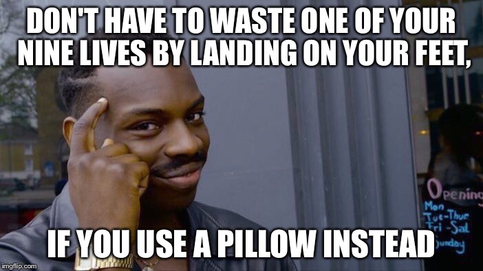 Roll Safe Think About It Meme | DON'T HAVE TO WASTE ONE OF YOUR NINE LIVES BY LANDING ON YOUR FEET, IF YOU USE A PILLOW INSTEAD | image tagged in memes,roll safe think about it | made w/ Imgflip meme maker