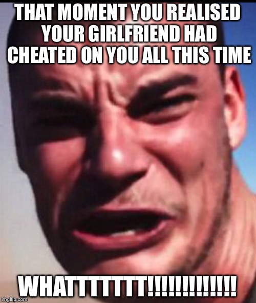 It’s a cool joke XD | THAT MOMENT YOU REALISED YOUR GIRLFRIEND HAD CHEATED ON YOU ALL THIS TIME; WHATTTTTTT!!!!!!!!!!!!! | image tagged in stop reading the tags | made w/ Imgflip meme maker