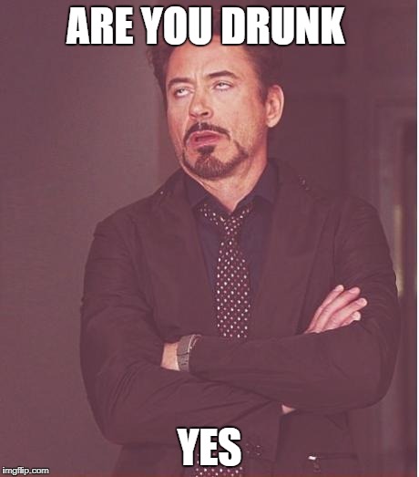 Face You Make Robert Downey Jr | ARE YOU DRUNK; YES | image tagged in memes,face you make robert downey jr | made w/ Imgflip meme maker