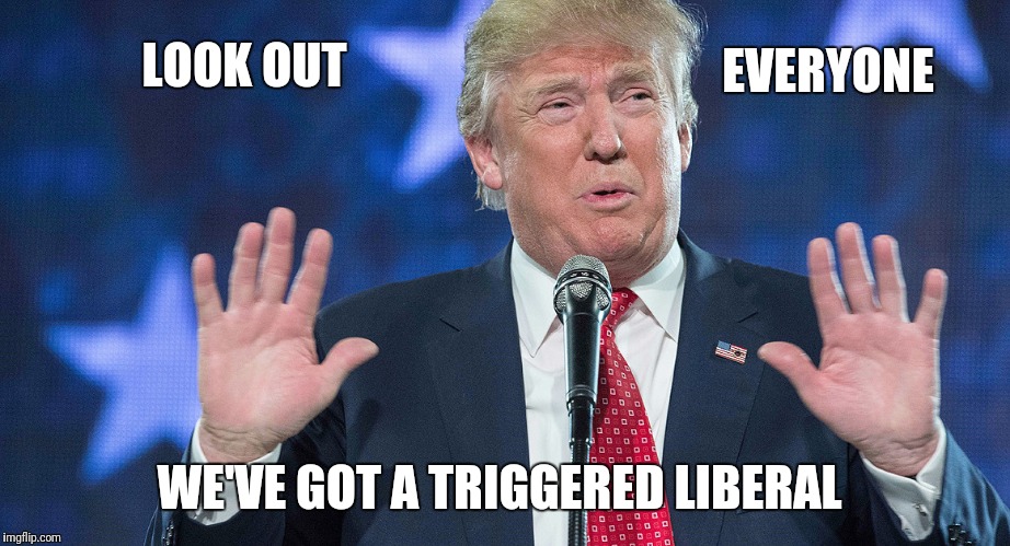 EVERYONE; LOOK OUT; WE'VE GOT A TRIGGERED LIBERAL | image tagged in trump look out | made w/ Imgflip meme maker