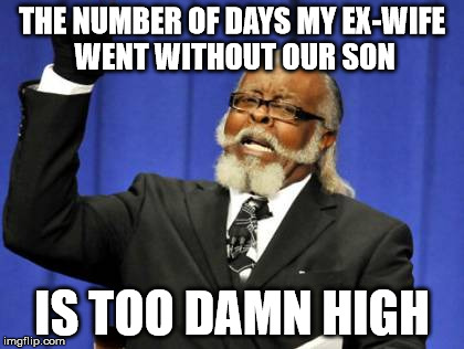 Civil Neglect leads to a change in custody | THE NUMBER OF DAYS MY EX-WIFE WENT WITHOUT OUR SON; IS TOO DAMN HIGH | image tagged in memes,too damn high,custody,ex wife | made w/ Imgflip meme maker