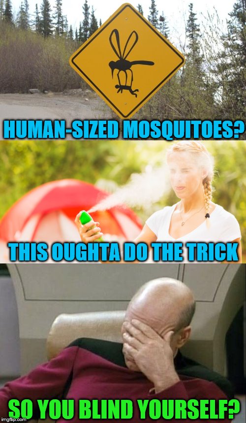 Sure, why not?  Let's just make it easier for them to catch you. | HUMAN-SIZED MOSQUITOES? THIS OUGHTA DO THE TRICK; SO YOU BLIND YOURSELF? | image tagged in memes,captain picard facepalm,mosquitoes,insect repellant,funny signs | made w/ Imgflip meme maker