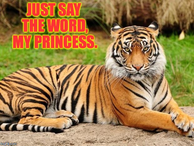 JUST SAY THE WORD, MY PRINCESS. | made w/ Imgflip meme maker