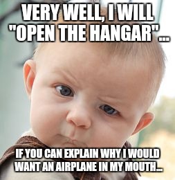 Some children's people... | VERY WELL, I WILL "OPEN THE HANGAR"... IF YOU CAN EXPLAIN WHY I WOULD WANT AN AIRPLANE IN MY MOUTH... | image tagged in memes,skeptical baby,funny,logic,lies | made w/ Imgflip meme maker