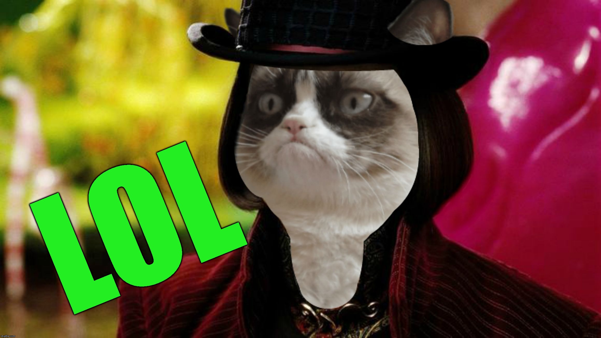Wonka Grumpy Cat | LOL | image tagged in wonka grumpy cat | made w/ Imgflip meme maker
