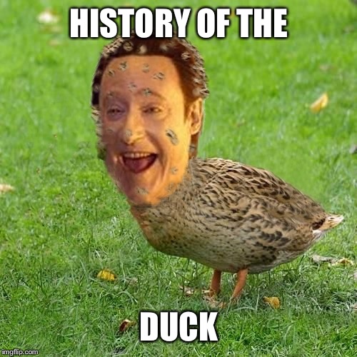 Cool Bullshit Da data duckith | HISTORY OF THE DUCK | image tagged in cool bullshit da data duckith | made w/ Imgflip meme maker
