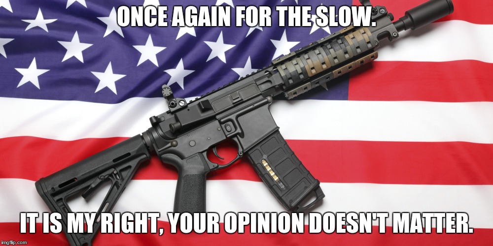 AR-15 and USA Flag | ONCE AGAIN FOR THE SLOW. IT IS MY RIGHT, YOUR OPINION DOESN'T MATTER. | image tagged in ar-15 and usa flag | made w/ Imgflip meme maker