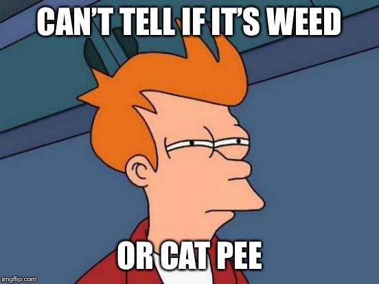 Futurama Fry Meme | CAN’T TELL IF IT’S WEED OR CAT PEE | image tagged in memes,futurama fry | made w/ Imgflip meme maker