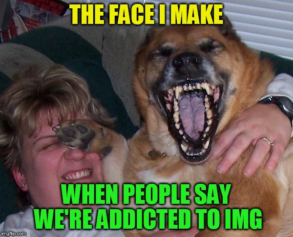 laughing dog | THE FACE I MAKE WHEN PEOPLE SAY WE'RE ADDICTED TO IMG | image tagged in laughing dog | made w/ Imgflip meme maker