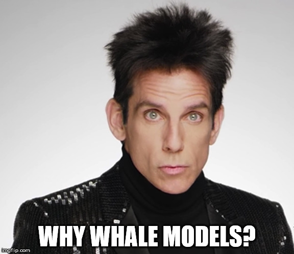 WHY WHALE MODELS? | made w/ Imgflip meme maker