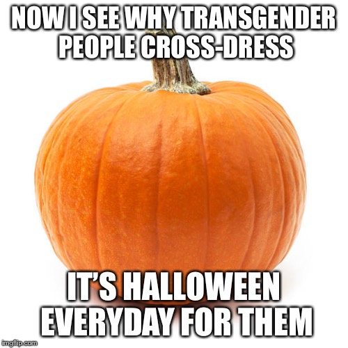 Halloween For Trans | NOW I SEE WHY TRANSGENDER PEOPLE CROSS-DRESS; IT’S HALLOWEEN EVERYDAY FOR THEM | image tagged in transgender,halloween,shitpost,not sure if,funny,not really | made w/ Imgflip meme maker