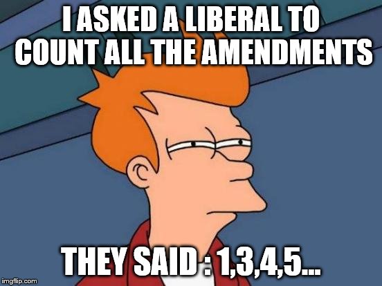 Futurama Fry Meme | I ASKED A LIBERAL TO COUNT ALL THE AMENDMENTS THEY SAID : 1,3,4,5... | image tagged in memes,futurama fry | made w/ Imgflip meme maker